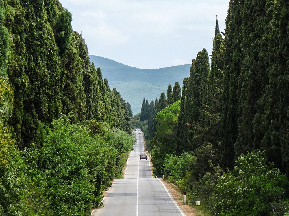 Viale dei Cipressi Bolgheri Castagneto Carducci