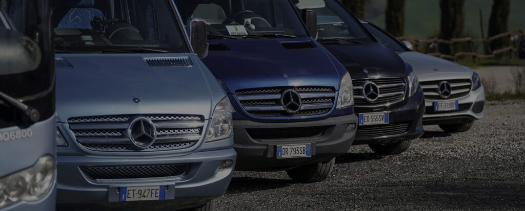 La flotta Bacci Travel